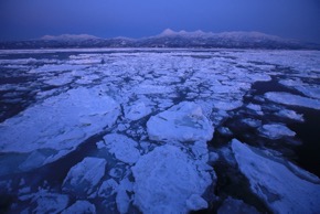 2月 氷海（羅臼沖）
